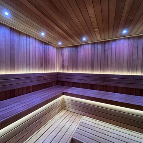 Universal Sauna Light Kit with Two 10-Ft Flexible LED Strips